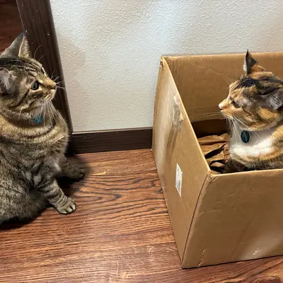 Xena & Sophie